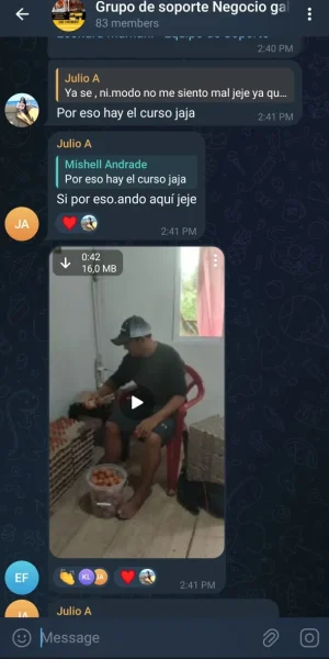 Imagen de WhatsApp 2025-07-11 a las 23.11.54_90652d73