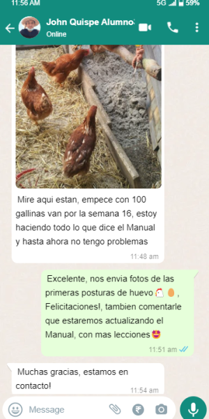 whatsapp_chat